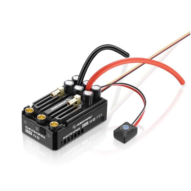 Seaking 300A V4